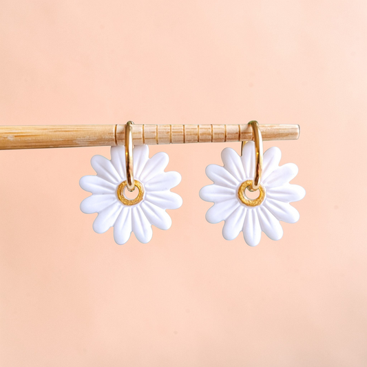 Marguerites blanches, coeur doré
